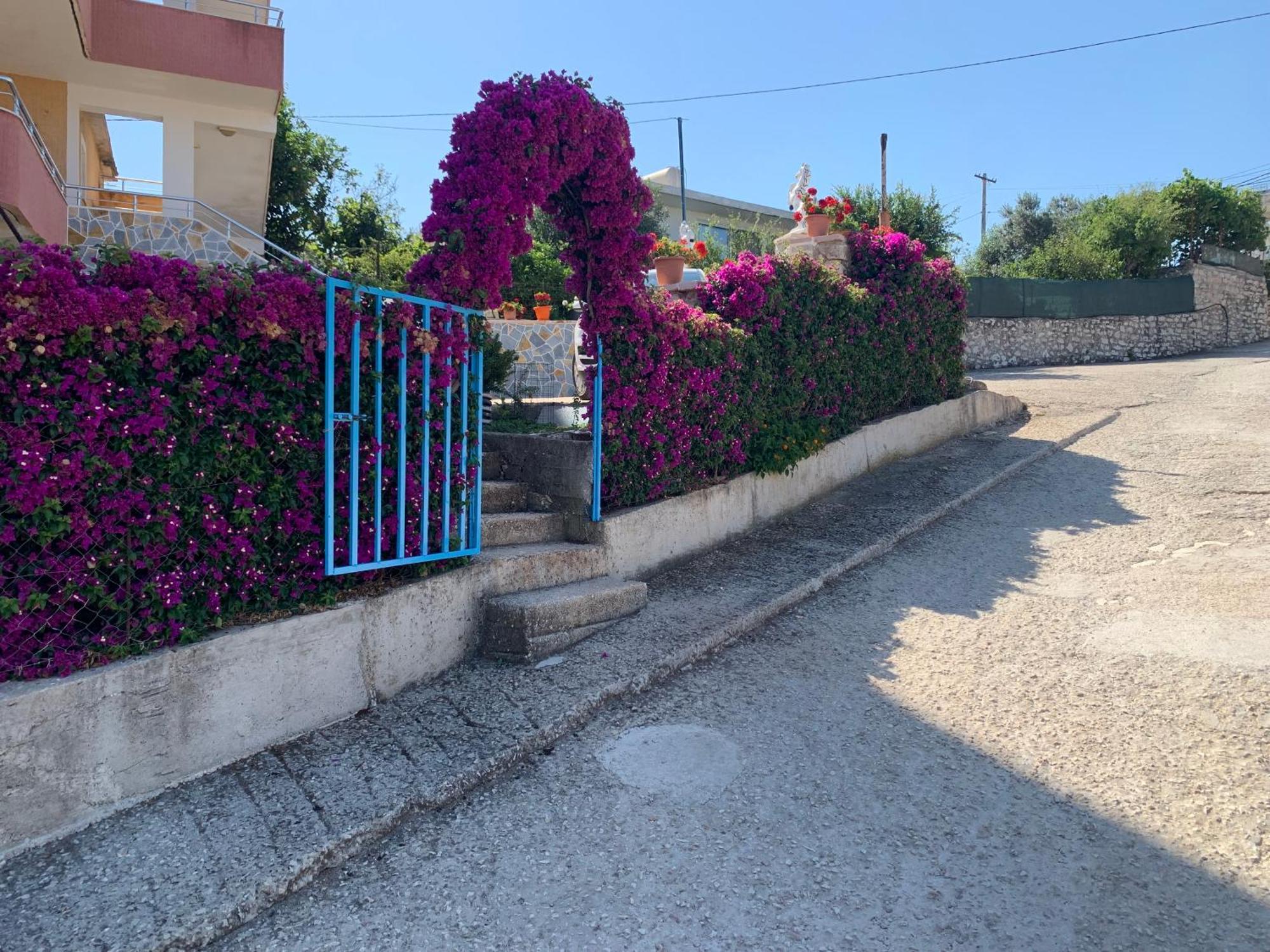 Ardi Leilighet Sarandë
